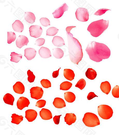 五五策略 累计投标询价重现A股，科创板IPO企业复旦张江按下启动键