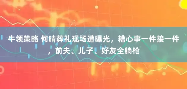 牛领策略 何晴葬礼现场遭曝光，糟心事一件接一件，前夫、儿子、好友全躺枪